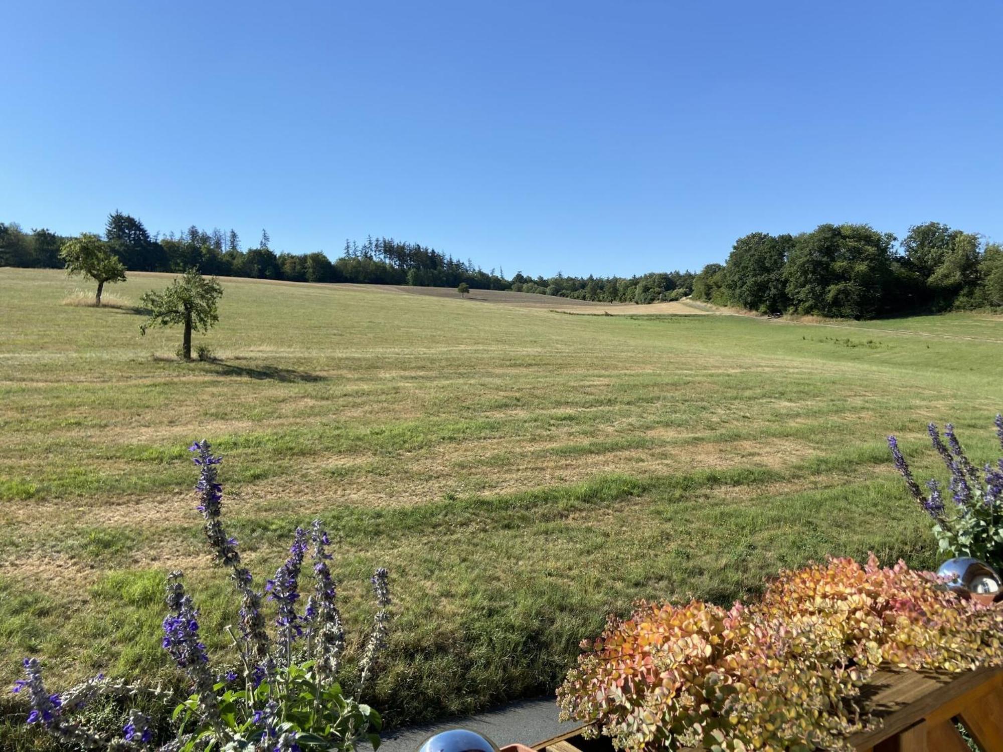 Taunusglueck Apartment Glashutten  Bagian luar foto